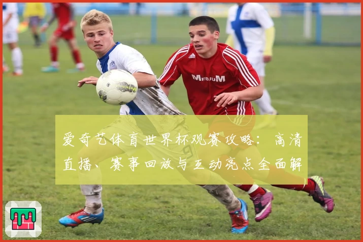爱奇艺体育世界杯观赛攻略：高清直播、赛事回放与互动亮点全面解析