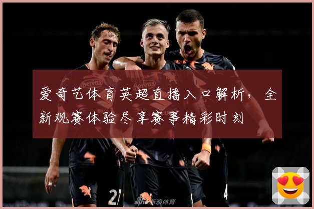 爱奇艺体育英超直播入口解析，全新观赛体验尽享赛事精彩时刻