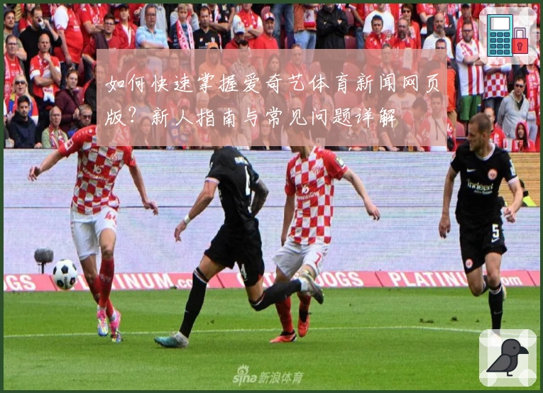 如何快速掌握爱奇艺体育新闻网页版？新人指南与常见问题详解